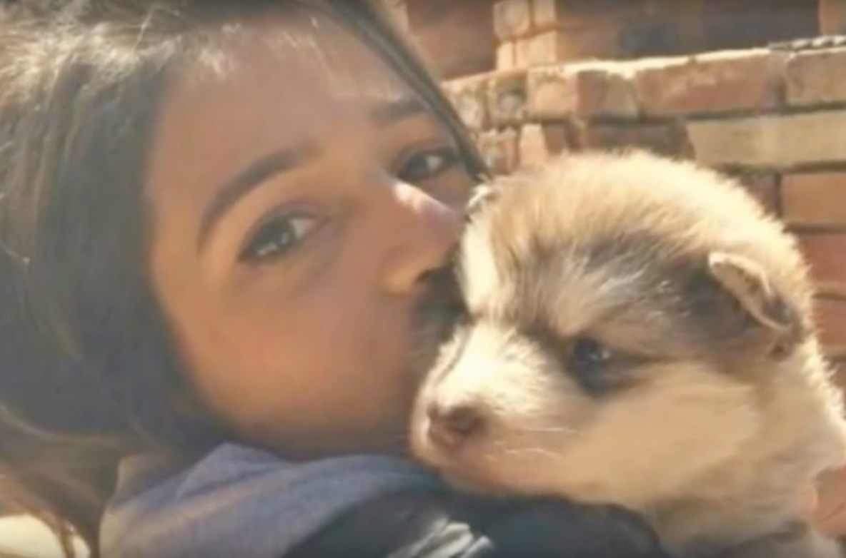 O femeie a adoptat un căţeluş mic şi adorabil. Un an mai târziu, şi-a dat seama ce GREŞEALĂ a făcut