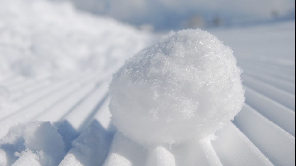 Cum să gătești cu zăpadă