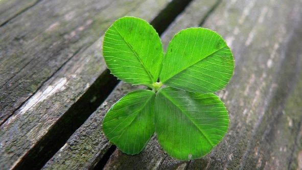 Ce să arunci în ianuarie ca să ai NOROC tot anul 