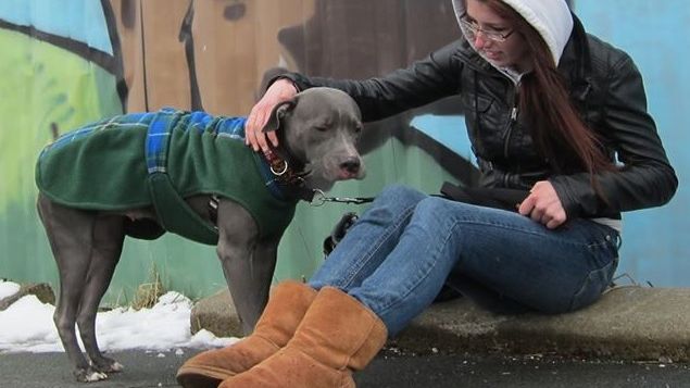 A fost abuzată sexual de 4 colegi de clasă. După 2 ani, mama ei descoperă ceva înfiorător în baie!