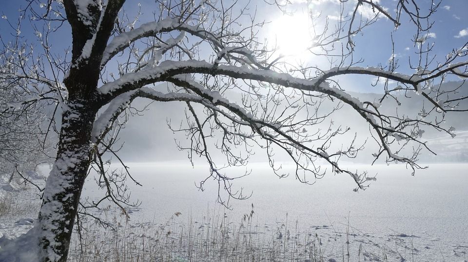 Vine iarna. Ce temperaturi vor fi începând de marți