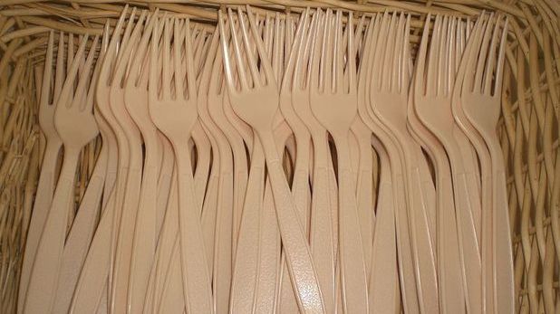 În Franţa vor fi interzise tacâmurile şi vesela din plastic