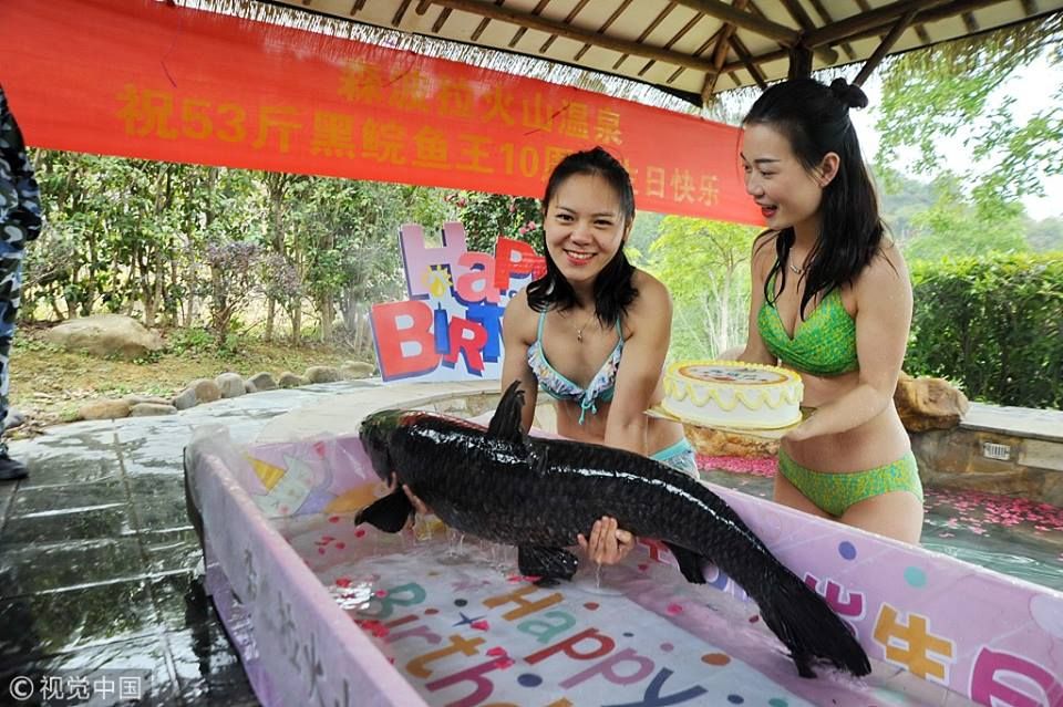Această fotografie stranie nu dezvăluie cu adevărat ce se întâmplă acolo