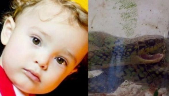 Un bebeluș a mușcat dintr-un șarpe veninos. Ce a urmat întrece orice imaginație!