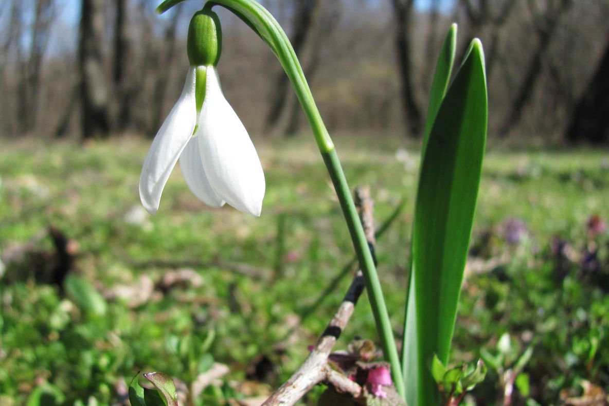 Horoscop martie 2019. Primăvara începe crunt pentru aceste 2 zodii