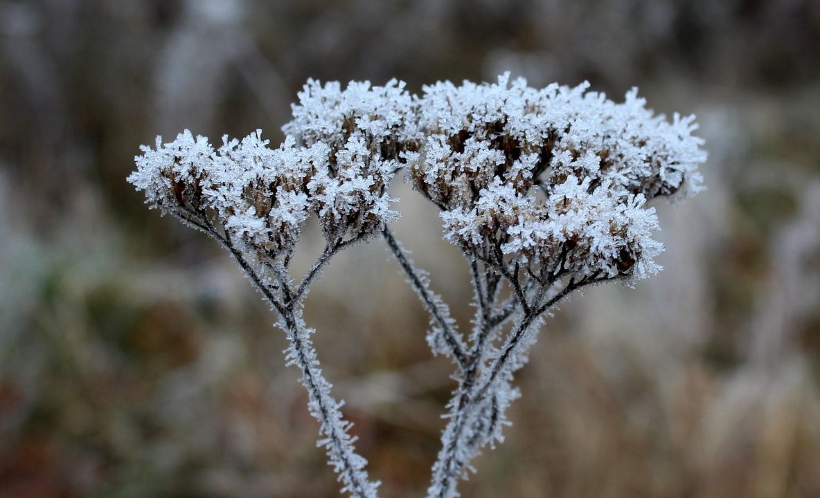 Vremea se schimbă radical. Prognoza meteo pentru joi, vineri și sâmbătă