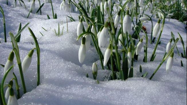 Anunţ de ultimă oră de la meteo: Cum va fi vremea în următoarele zile