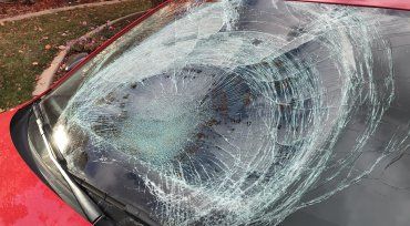 Fenomenul care i-a speriat pe locuitorii unui orăşel: sute de păsări moarte au căzut din cer