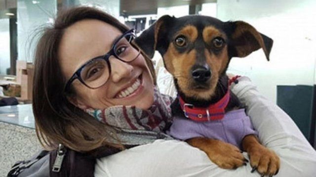 Jocurile Olimpice de Iarnă 2018. Povestea patinatoarei care a salvat 2 câini dintr-un restaurant