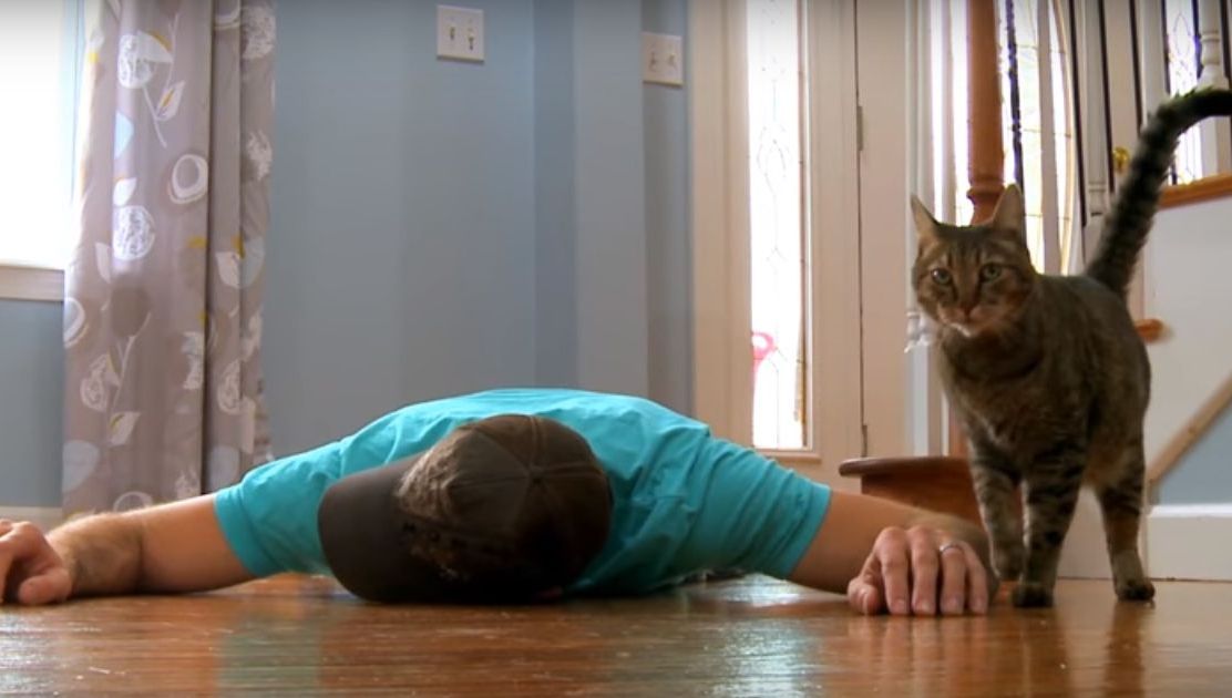 Stăpânul s-a prăbușit ”mort” în fața pisicii. Și atunci, felina a făcut ceva incredibil -- VIDEO