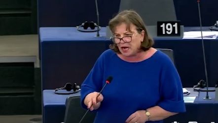 Scene halucinante în Parlamentul European, cu Grapini şi Nicolai, la dezbaterea pe legile justiţiei