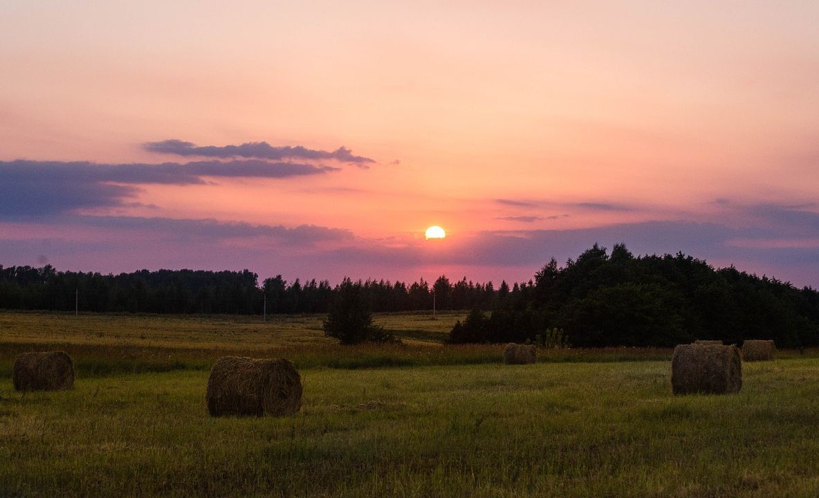 Nu vorbi despre șerpi în martie. 5 obiceiuri bizare românești. Sătenii încă le mai respectă 