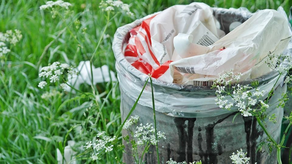 România interzice acest tip de pungi de plastic 