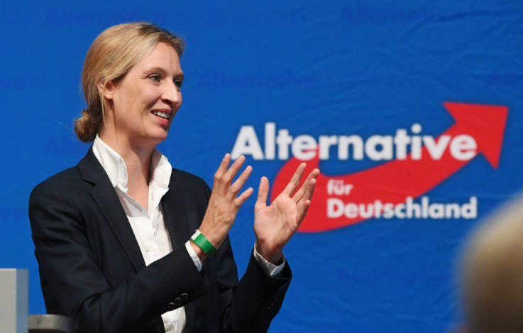 Șoc in Germania: Extrema dreptă e tot mai puternică, social-democrații se prăbușesc