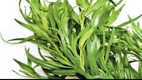 Planta minune care combate afecțiuni cardiovasculare, pulmonare și multe alte boli