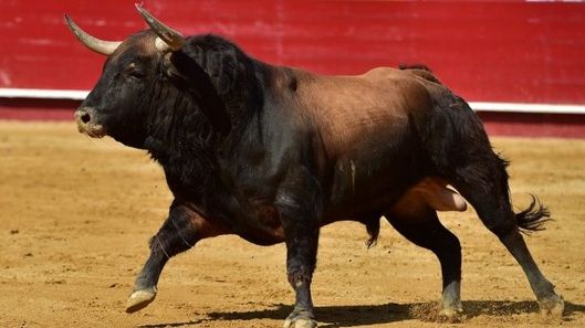 Răzbunarea taurului. Un toreador celebru, luat în coarne în timpul unei coride - VIDEO