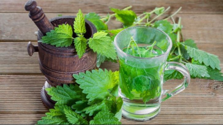 A băut în fiecare zi 2 căni de suc de urzici, timp de o lună. Nu i-a venit să creadă ce efect a avut