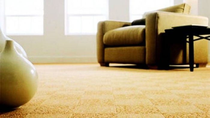 Cum să cureţi rapid părul de pe covoare şi mochetă