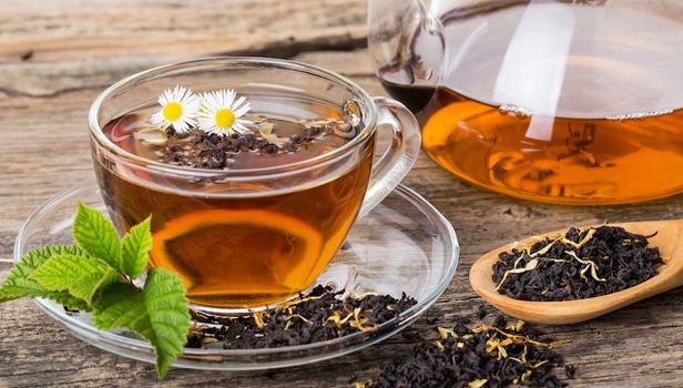 Fresh Refresh: Plantele, remediu cu reguli