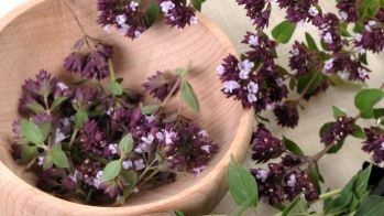 Cum să tratezi răceala cu un condiment pe care şi tu îl ai în casă 