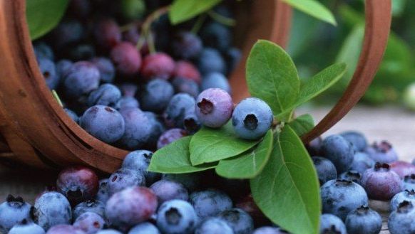 Dieta cu suc de afine: topeşte grăsimile de pe abdomen şi reduce celulita