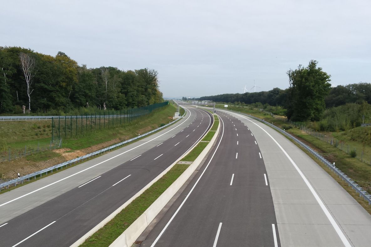 Migrația broaștelor a dus la închiderea mai multor drumuri din Germania