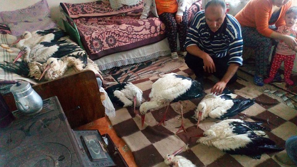 Gestul unui bulgar a emoţionat întreg Facebook-ul: "Au venit prea devreme din țările calde"