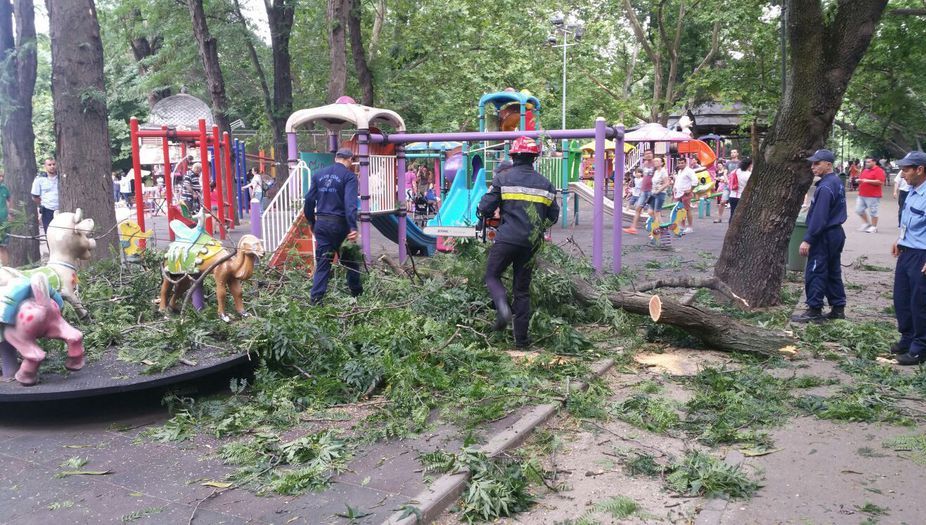 Copil rănit în parcul Cişmigiu, din cauza unei crengi căzute dintr-un copac, la locul de joacă