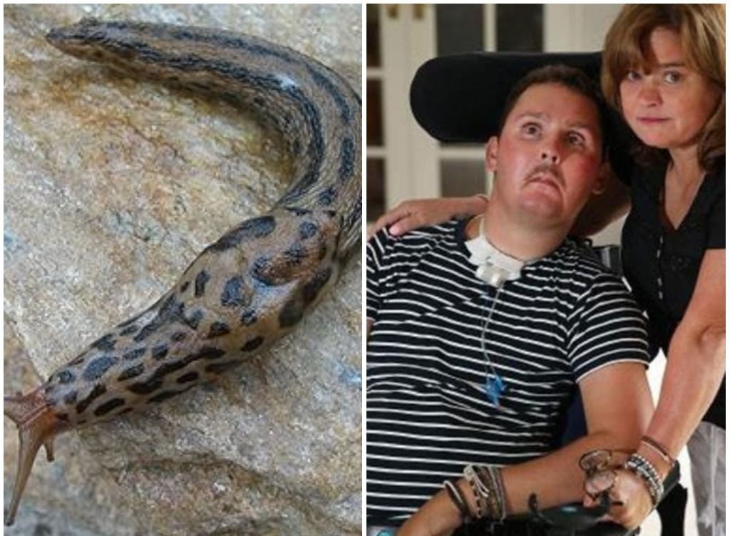 Prietenii l-au provocat să mănânce un limax. Ce straniu! L-a mâncat pe loc și a paralizat