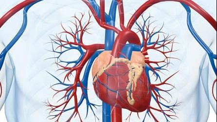 Suplimentele banale care îți distrug vasele de sânge și duc la infarct
