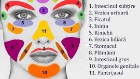 Ce legătură există între tenul tău și organele interne! Află ce boli din corp ți se citesc pe față