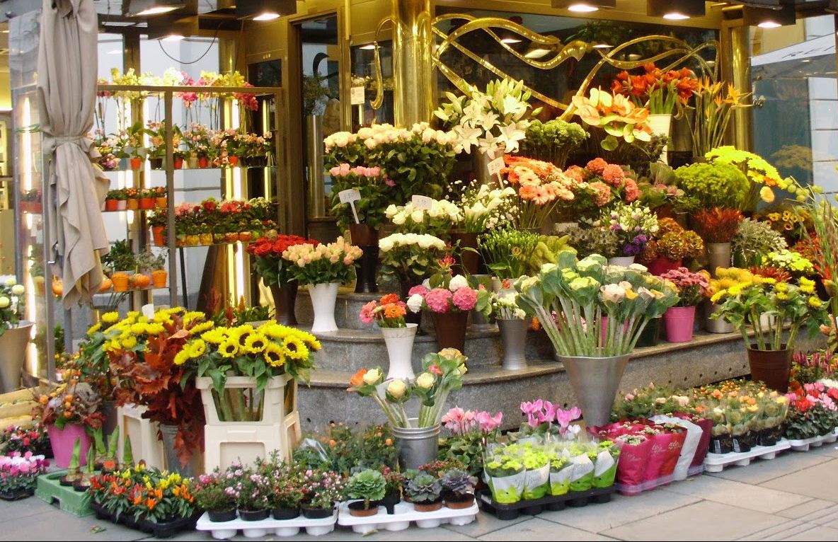 Această plantă este ucigaşă! Se vinde la toate florăriile din România, deşi e foarte toxică