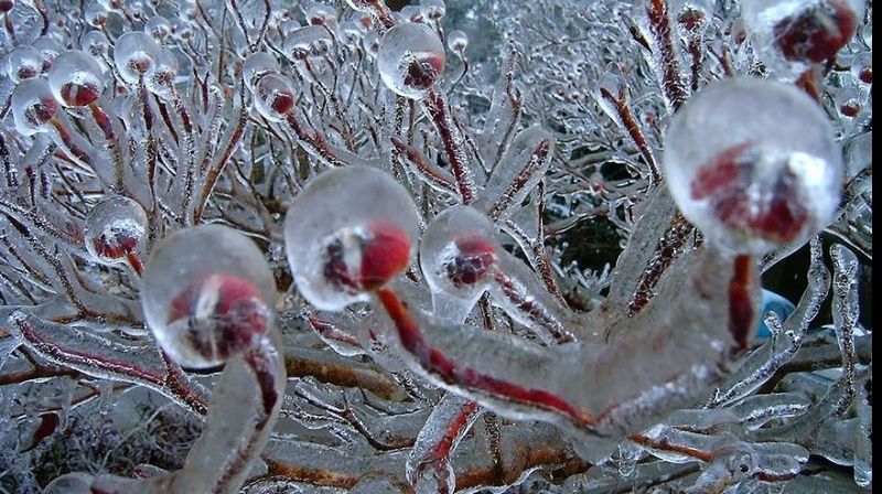 Anunţul sumbru făcut de meteorologi: La jumătatea lunii martie vine. Pregătiţi-vă!