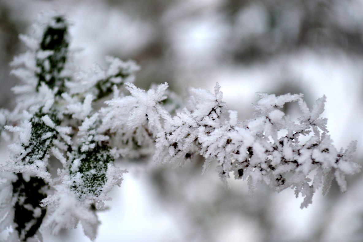 Record de temperatură înregistrat în capitală. Ce spun meteorologii