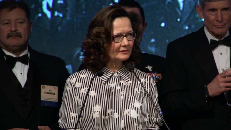 Gina Haspel, prima femeie care va conduce CIA. Cine este ea? 