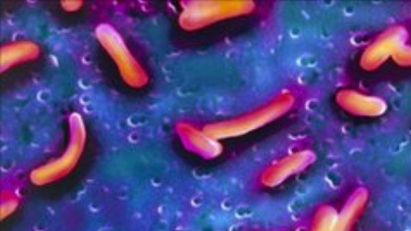 Holera s-ar putea întoarce. Avertizarea UNICEF