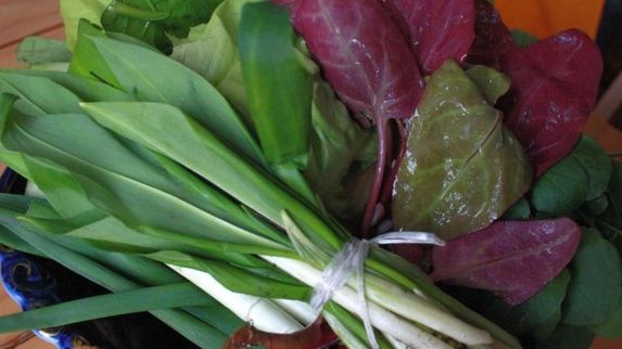 Ce este, de fapt, LEURDA. Acum că ştii, mai mănânci vreodată această plantă?