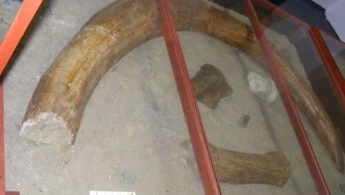 Descoperire fabuloasă în judeţul Botoşani. Ar putea rescrie istoria