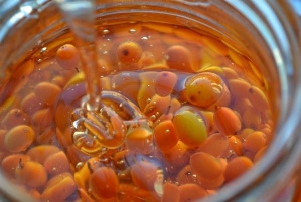 Amestecul de miere cu cătină românească, un preparat fabulos pentru organism