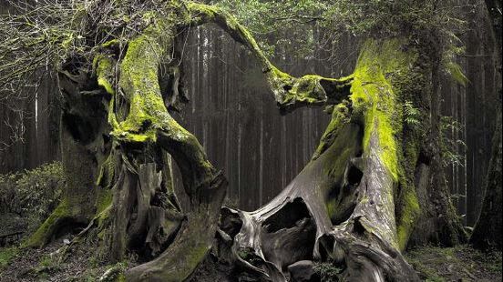 Un loc din România, desemnat cel mai ciudat din Europa. Ce se petrece acolo noapte de noapte