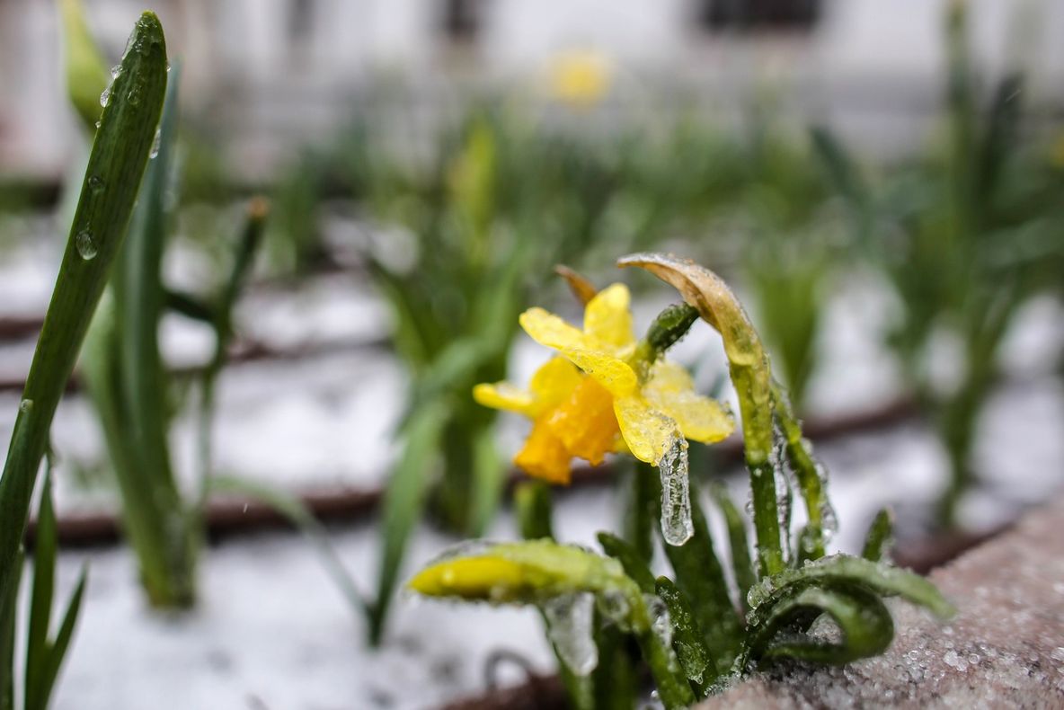 Ploaie îngheţată în Bucureşti. Imagini spectaculoase 