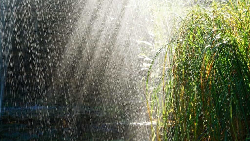 Veşti proaste de la meteo: Cum va fi vremea în următoarele trei zile