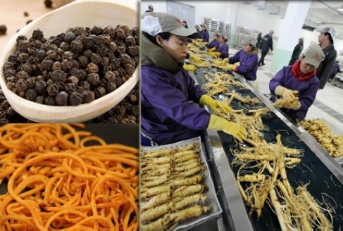 5 produse toxice din China, făcute din plastic şi cu pesticide, pe care şi tu le consumi 