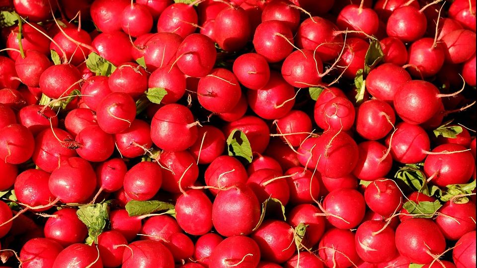 Ce spune Daea despre prețul trufandalelor