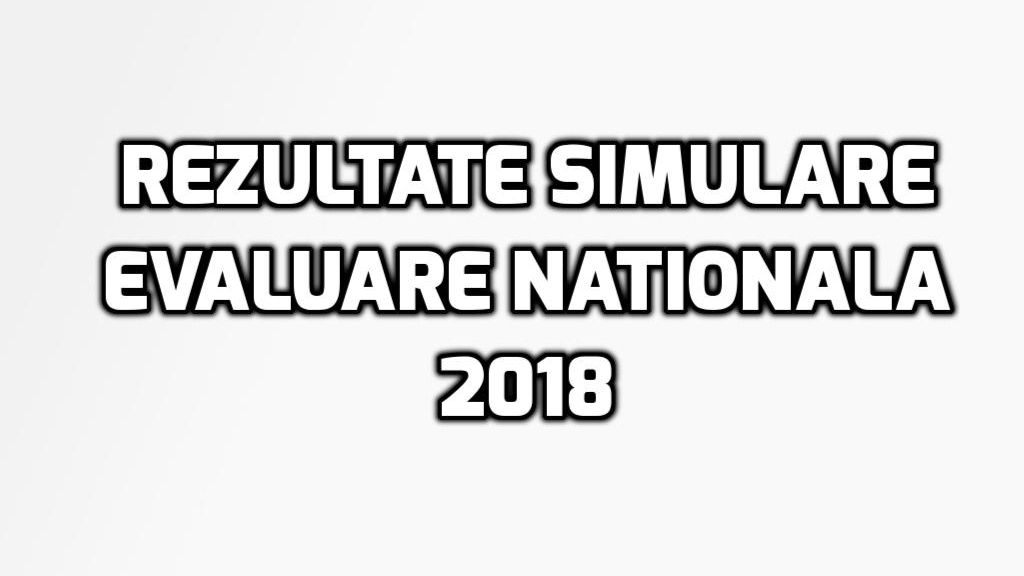 Rezultate Simulare Evaluarea Nationala 2018 – Cum s-au descurcat elevii