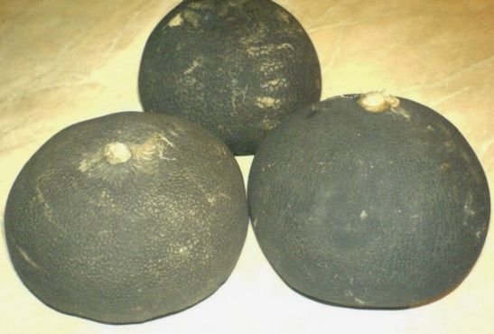 Leguma care scade colesterolul, calmează tusea şi previne bolile de inimă