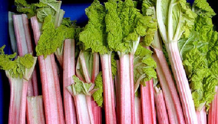 Mănânci şi mori! Deşi arată apetisant, aceste alimente te pot ucide