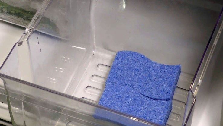 De ce se ține un burete umed în frigider?