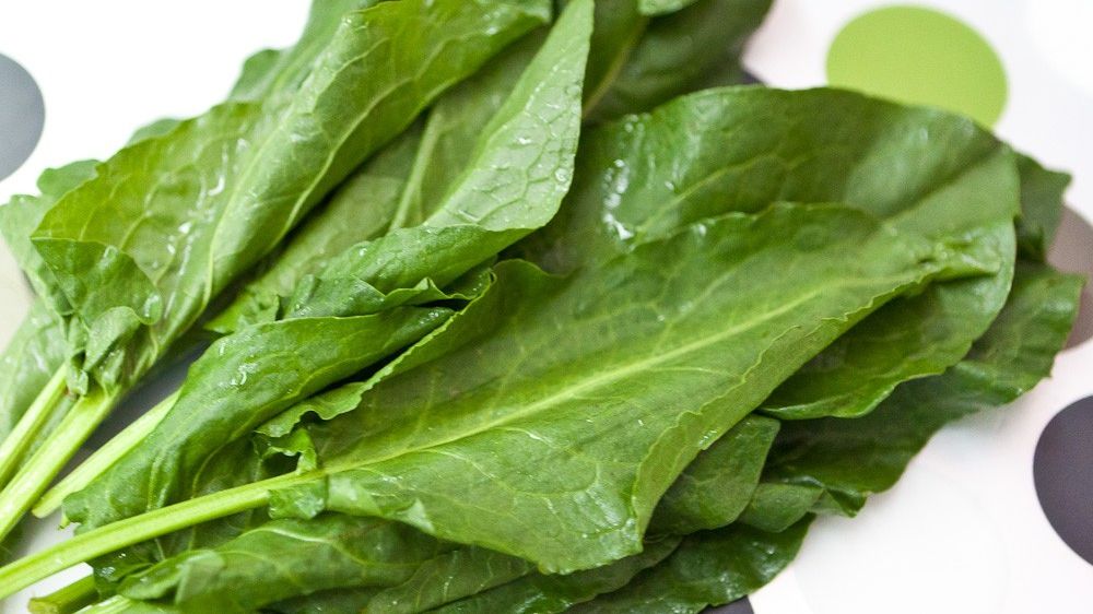 Ce este, de fapt, ŞTEVIA, planta care se găseşte în toate pieţele în această perioadă. Mai cumperi?