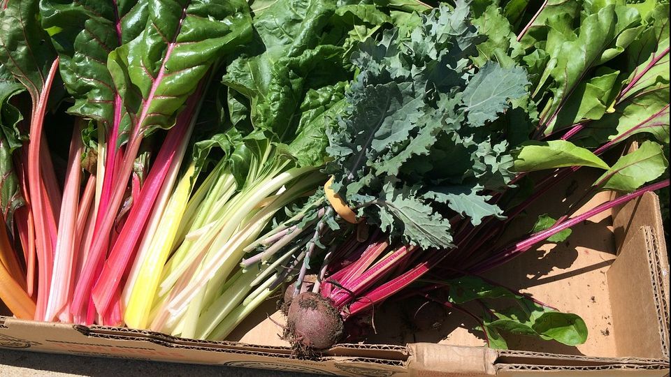 Top 3 cele mai nutritive alimente din lume 